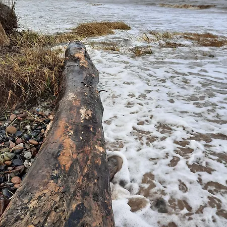 Schlossgut Hotel Groß Schwansee