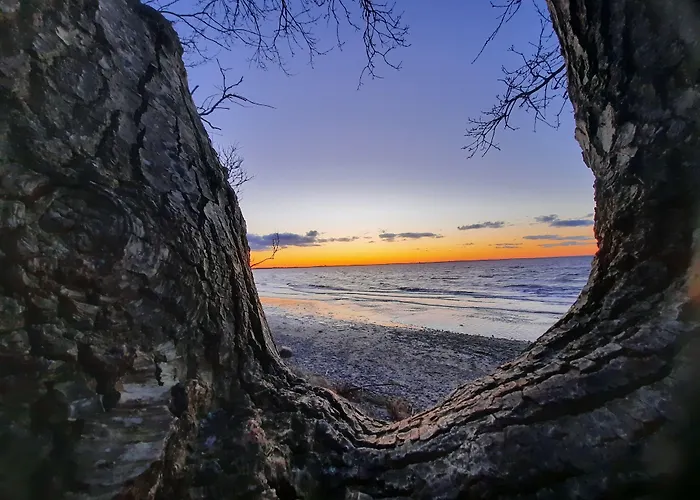 Schlossgut Groß Schwansee