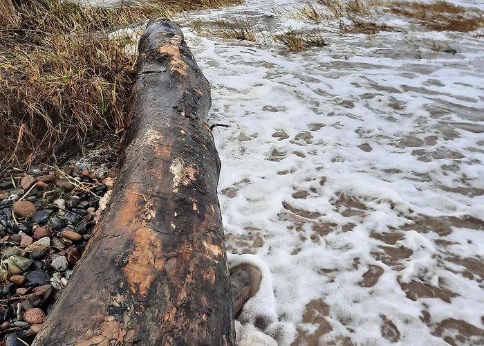 Schlossgut Hotel Groß Schwansee